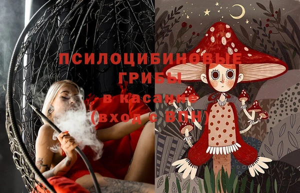 гидра Балахна