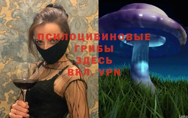 гидра Балахна