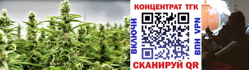 ТГК концентрат Городище