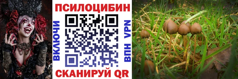 Галлюциногенные грибы Psilocybine cubensis  гидра ссылка  сайты даркнета какой сайт  Городище 