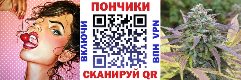 Шишки марихуана тримм  mega зеркало  Городище 